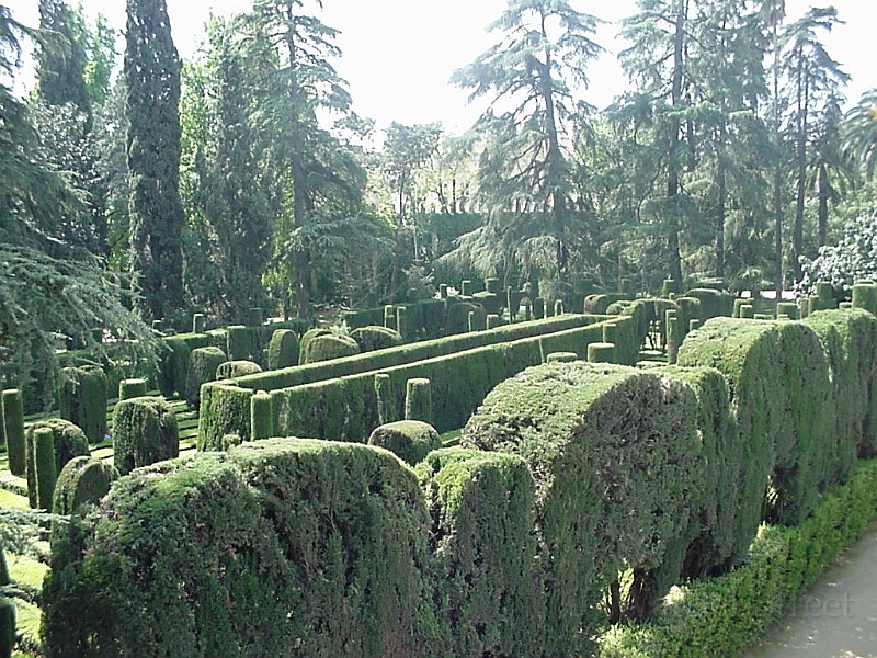 Maze At Alcazar In Sevilla 1.jpg